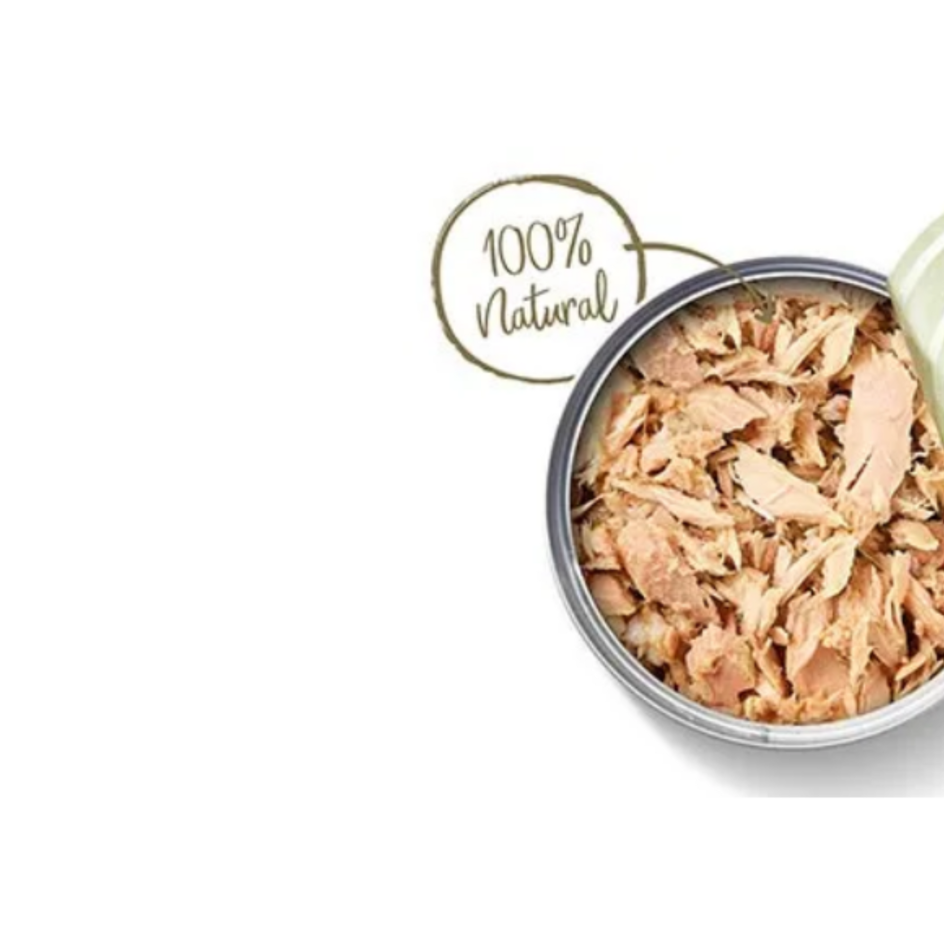 Applaws Natural Tender Tuna with Salmon in Jelly - Wet Cat Food 70 gm (Pack of 16 pcs) - Rufftail