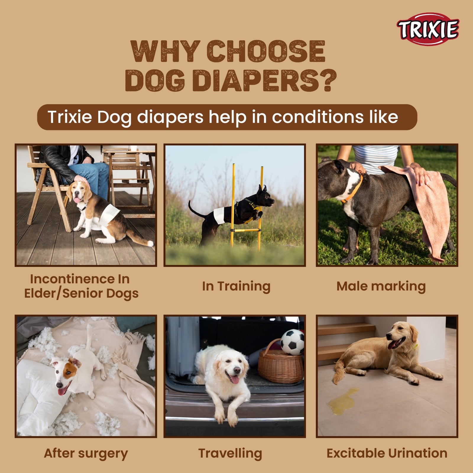 Trixie Diapers for Male Dogs Disposable - 12 pcs - Rufftail
