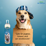 Bio-Groom So-Dirty Deep Cleansing Shampoo for Dogs- 355 ml product image 6 - Rufftail Pune
