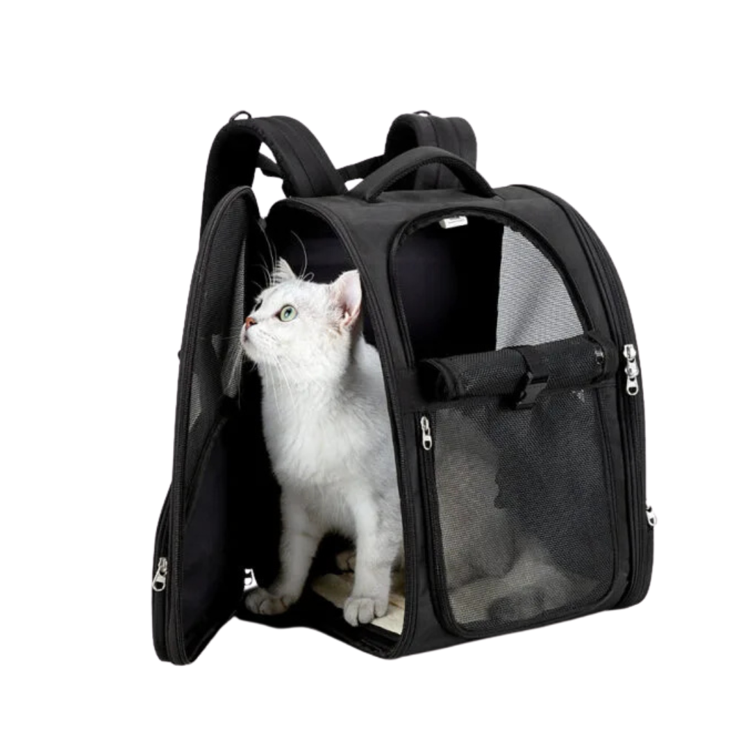 TRUELOVE Airflow Backpack Carrier For Pets: Breathable, Safe, & Foldable - Rufftail