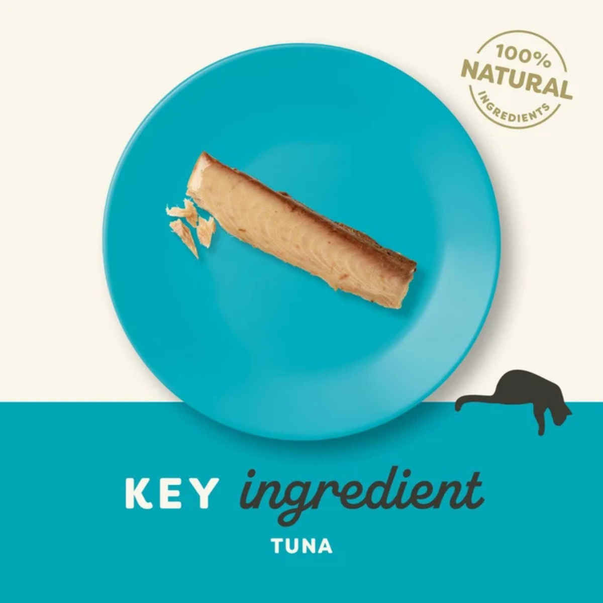 Applaws Tuna Loin Cat Treat - 30g