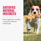 KONG Scrunch Knots Squirrel Dog Toy - Durable, Squeaker (Small/Medium) - Rufftail