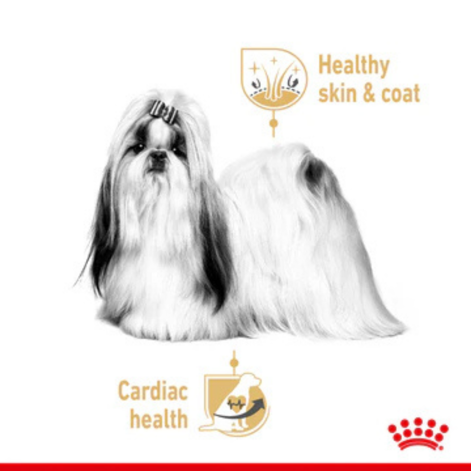 Royal Canin Loaf In Gravy Shih Tzu Adult Dog Wet Food (12U x 85 g) - Rufftail
