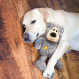 KONG Wild Knots Bear Dog Toy Soft Plush with Internal Rope Skeleton Medium/Large (Grey) - Rufftail