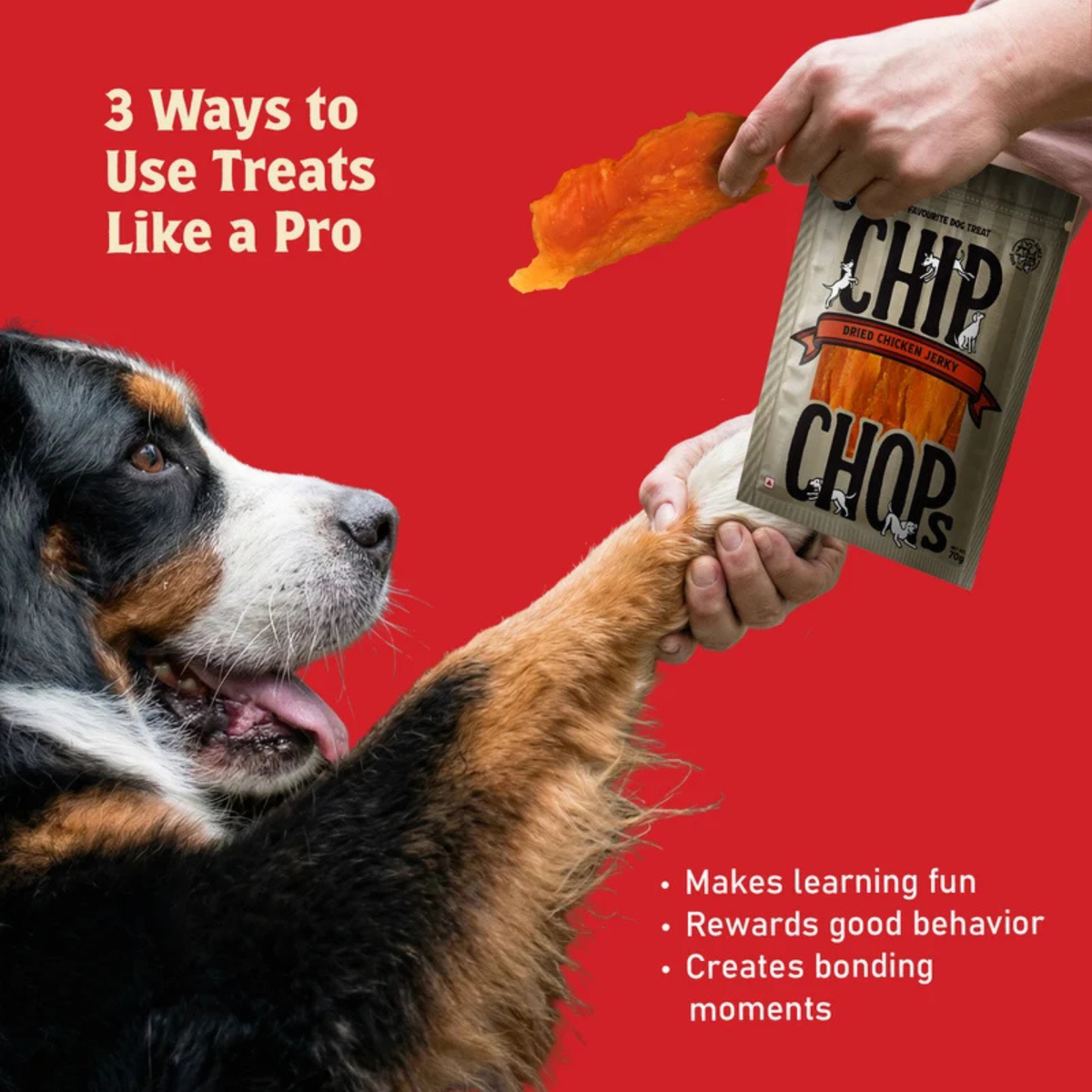 Chip Chops Dried Chicken Jerky Dog Treat