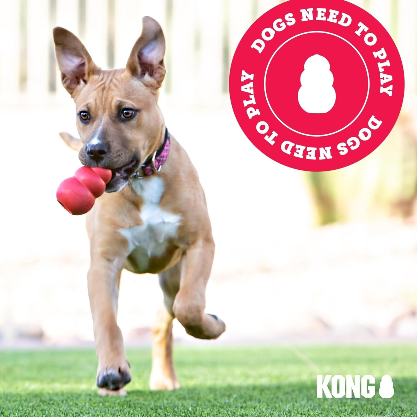 KONG Wild Knots Bear Dog Toy Soft Plush with Internal Rope Skeleton Medium/Large (Grey) - Rufftail