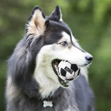 KONG Sport Balls for Dogs Reduces Boredom- Large (Pack of 2) product image 6 - Rufftail Pune