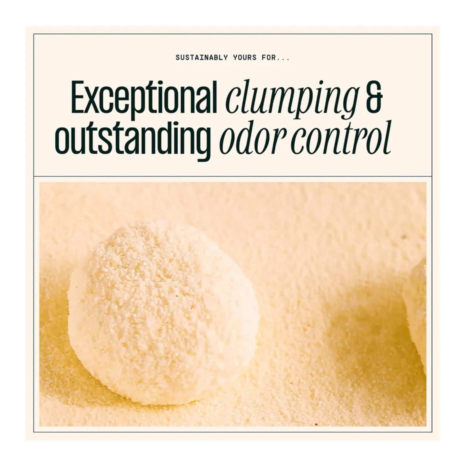 Sustainably Yours Large Grain Cat Litter product image 4 - Rufftail Pune