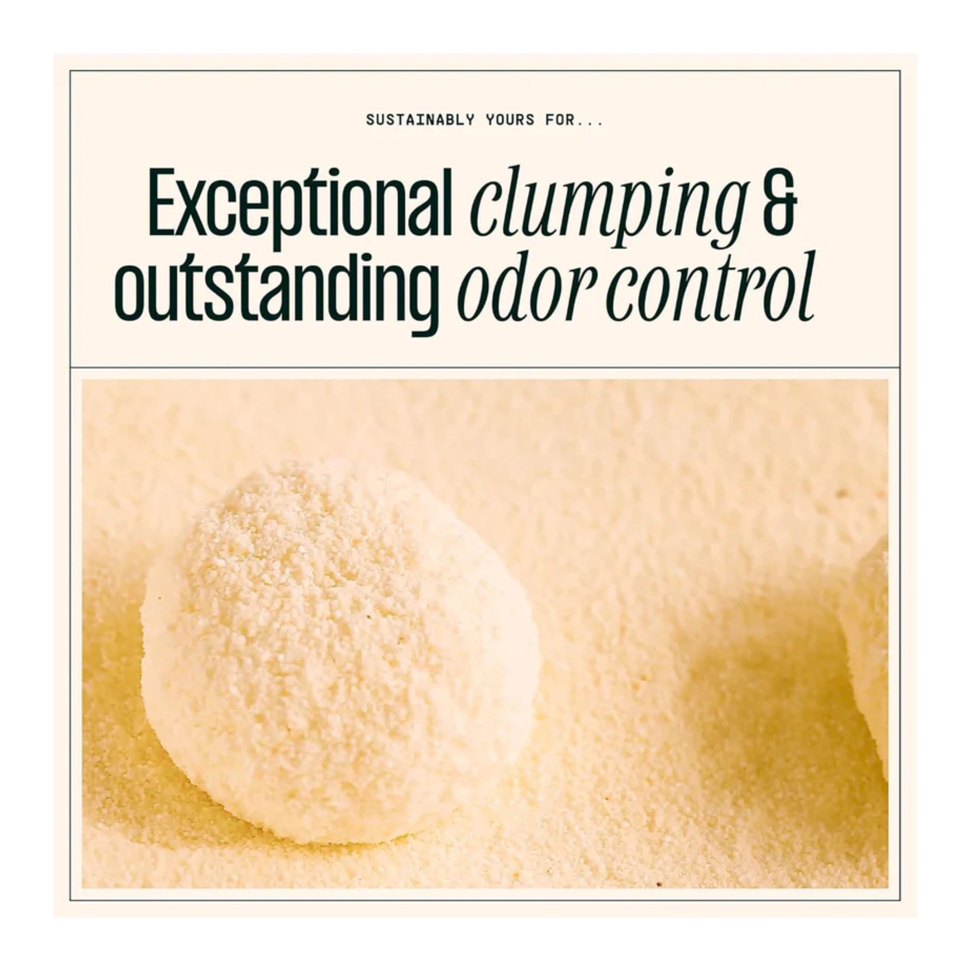 Sustainably Yours Large Grain Cat Litter - Rufftail