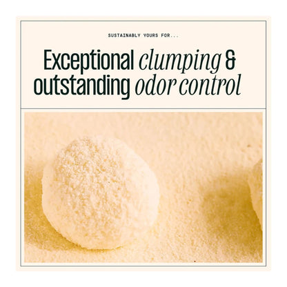 Sustainably Yours Large Grain Cat Litter - Rufftail