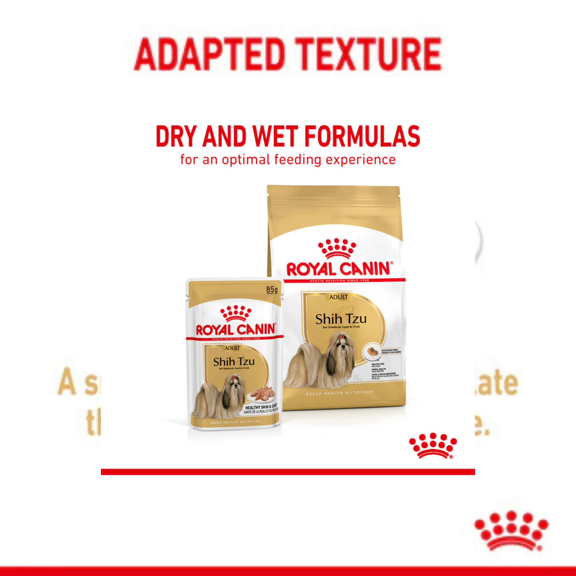 Royal Canin Loaf In Gravy Shih Tzu Adult Dog Wet Food (12U x 85 g) - Rufftail