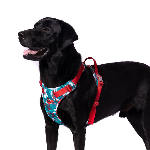Truelove No-Pull Special Edition Dog Harness - Camouflage Blue