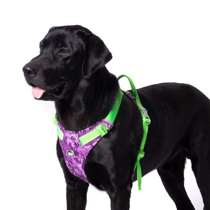 Truelove No-Pull Special Edition Harness for Dogs- Camouflage Purple - Rufftail Pune