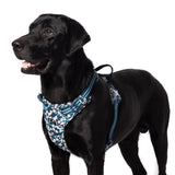 Truelove Floral No Pull Pet Harness for Dogs product image 16 - Rufftail Pune