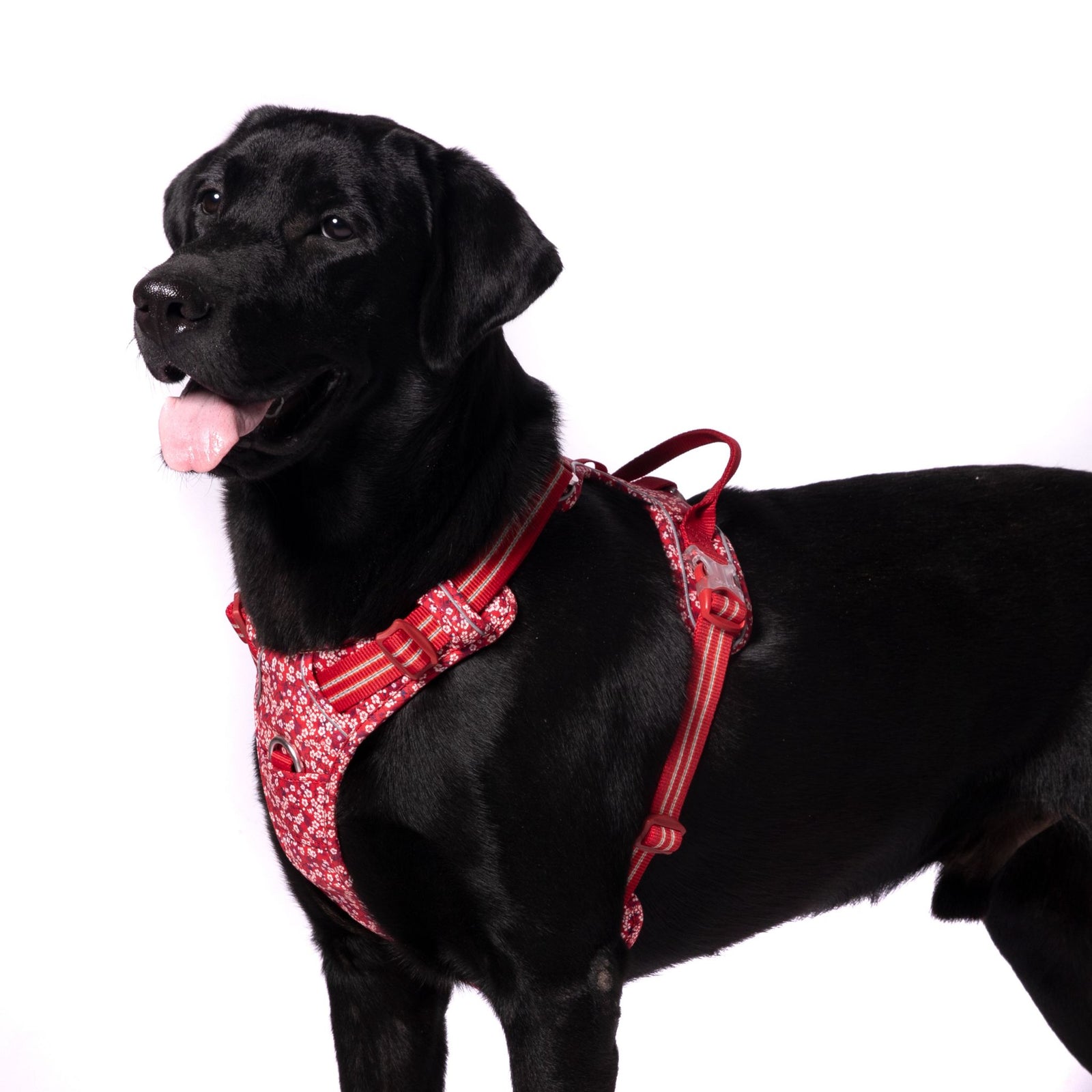 Truelove Floral No Pull Pet Harness for Dogs product image 10 - Rufftail Pune