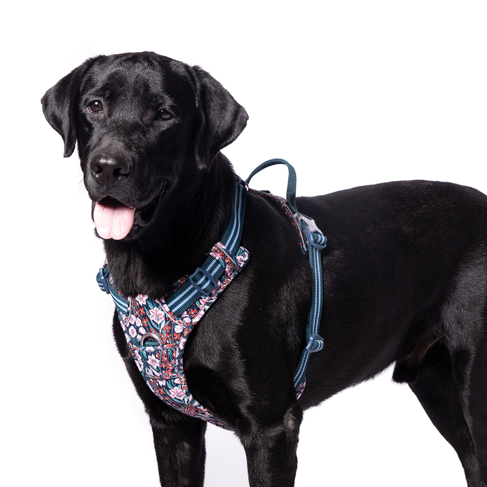 Truelove Floral No Pull Pet Harness for Dogs product image 5 - Rufftail Pune