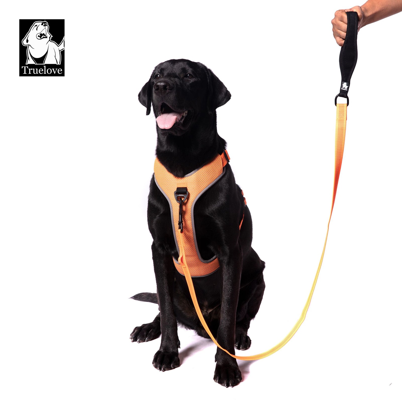 Truelove Nylon Dog Leash: Durable, Reflective & Comfortable- Orange product image 6 - Rufftail Pune