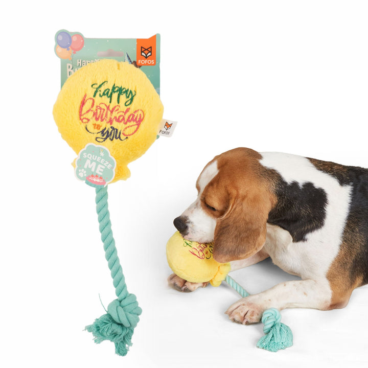 BarkButler x FOFOS Birthday Balloon Plush Dog Toy - Soft & Squeaky Toy - Rufftail