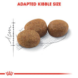 Royal Canin Regular Sterilised 37 Dry Cat Food (2kg) product image 2 - Rufftail Pune