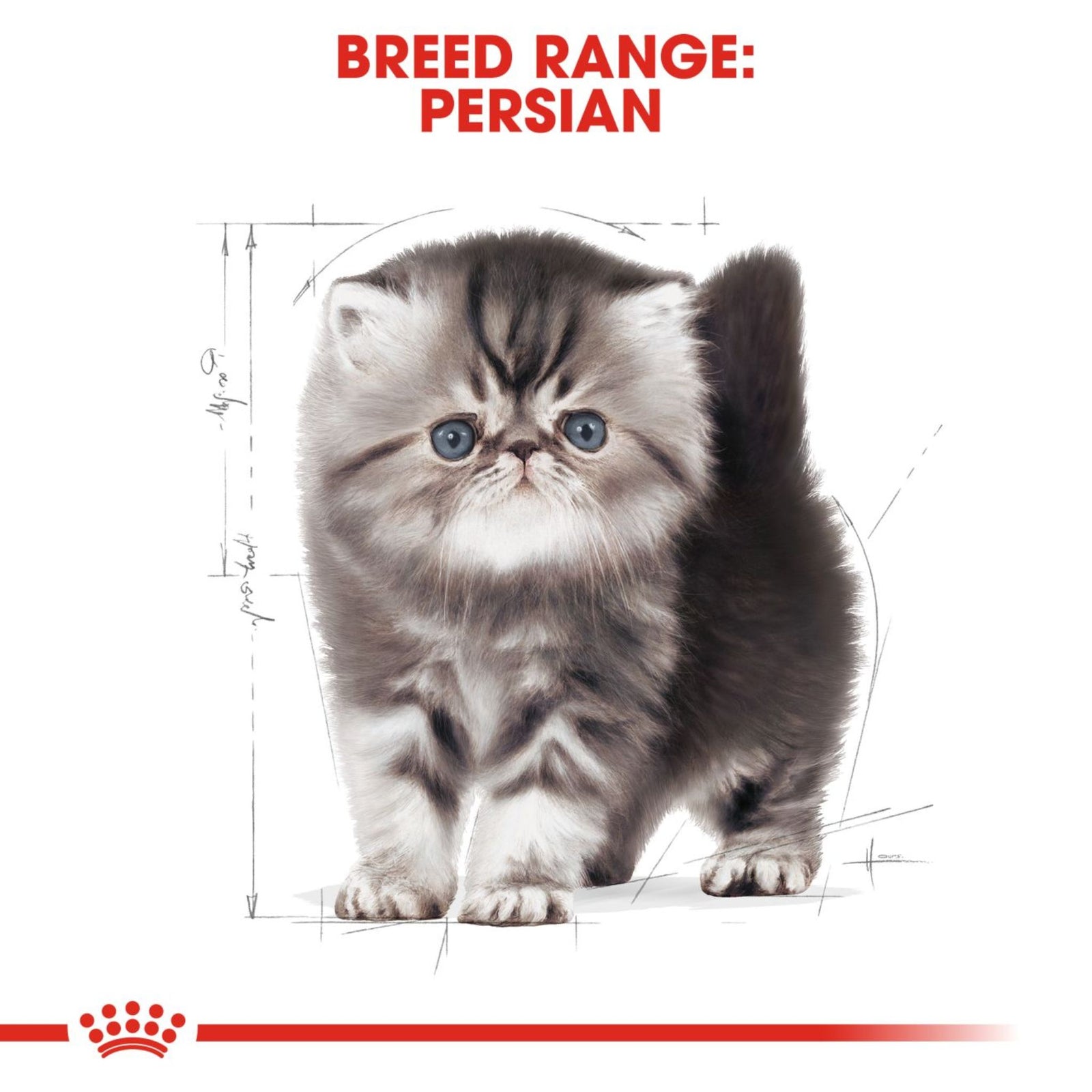 Royal Canin Persian Kitten Dry Cat Food product image 6 - Rufftail Pune