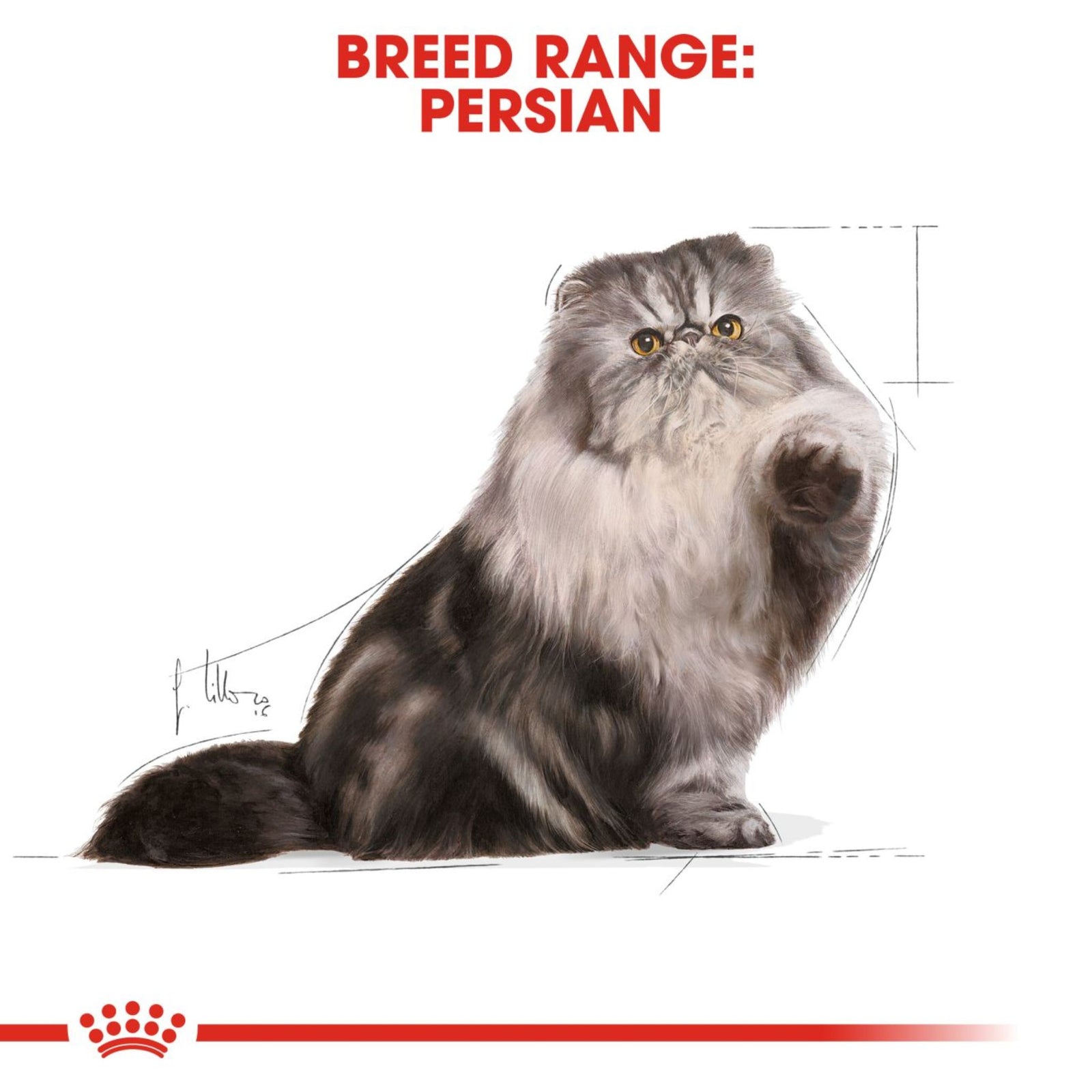 Royal Canin Wet Persian Complete feed for cats - Rufftail