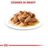 Royal Canin Mini Adult Gravy Wet Dog Food- 12 x 85g product image 5 - Rufftail Pune