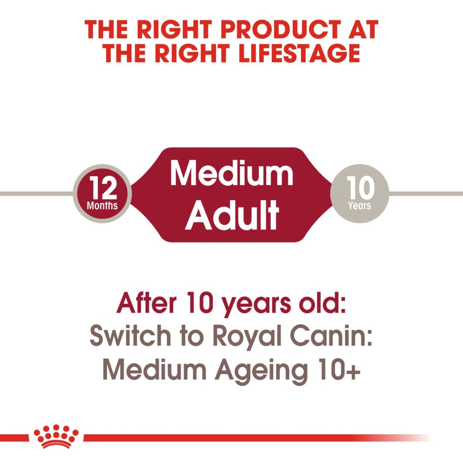 Royal Canin Medium Adult Gravy Wet Dog Food- 10 x 140g product image 3 - Rufftail Pune