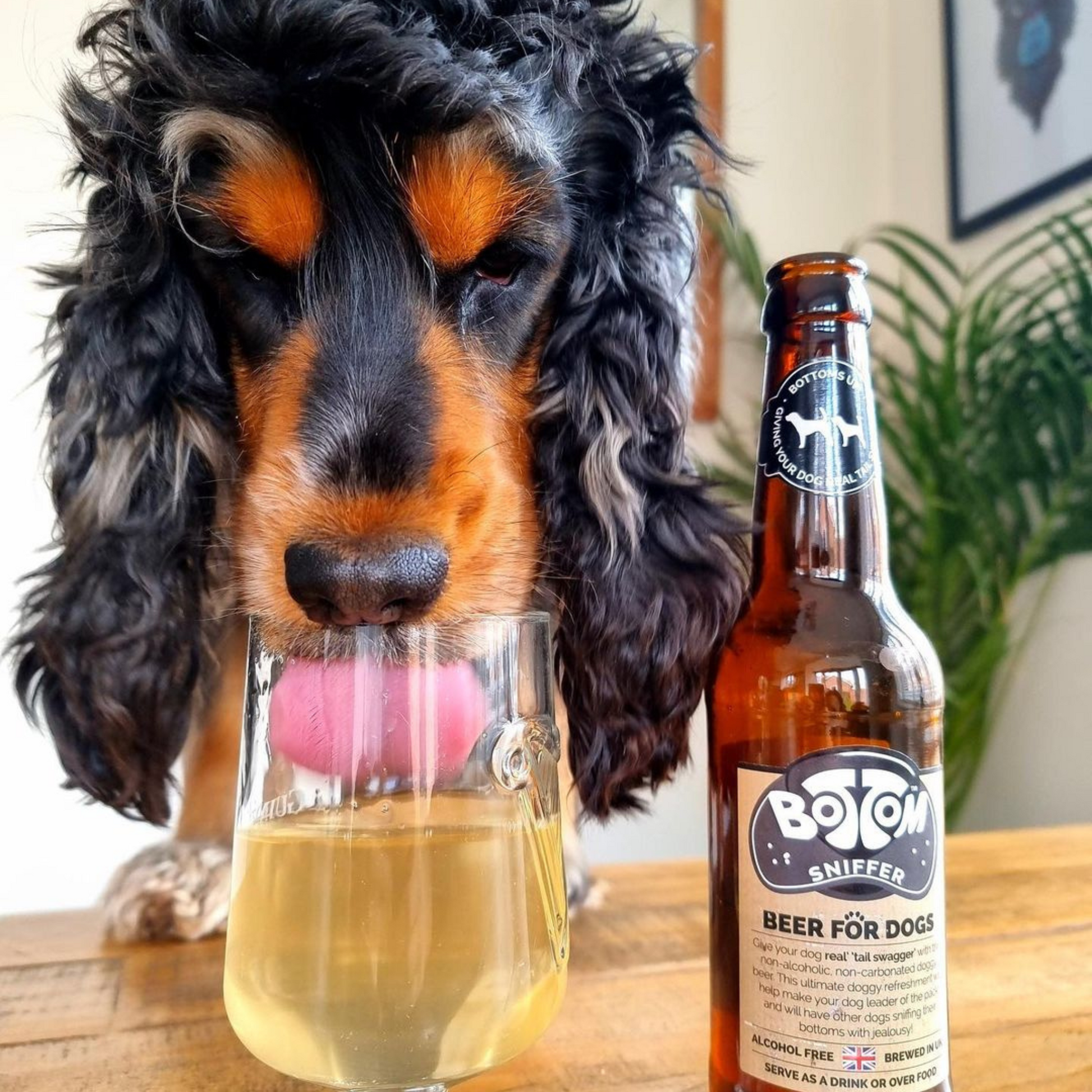 Woof & Brew Vegetarian Bottom Sniffer Non-Alcohol Dog Beer - Rufftail