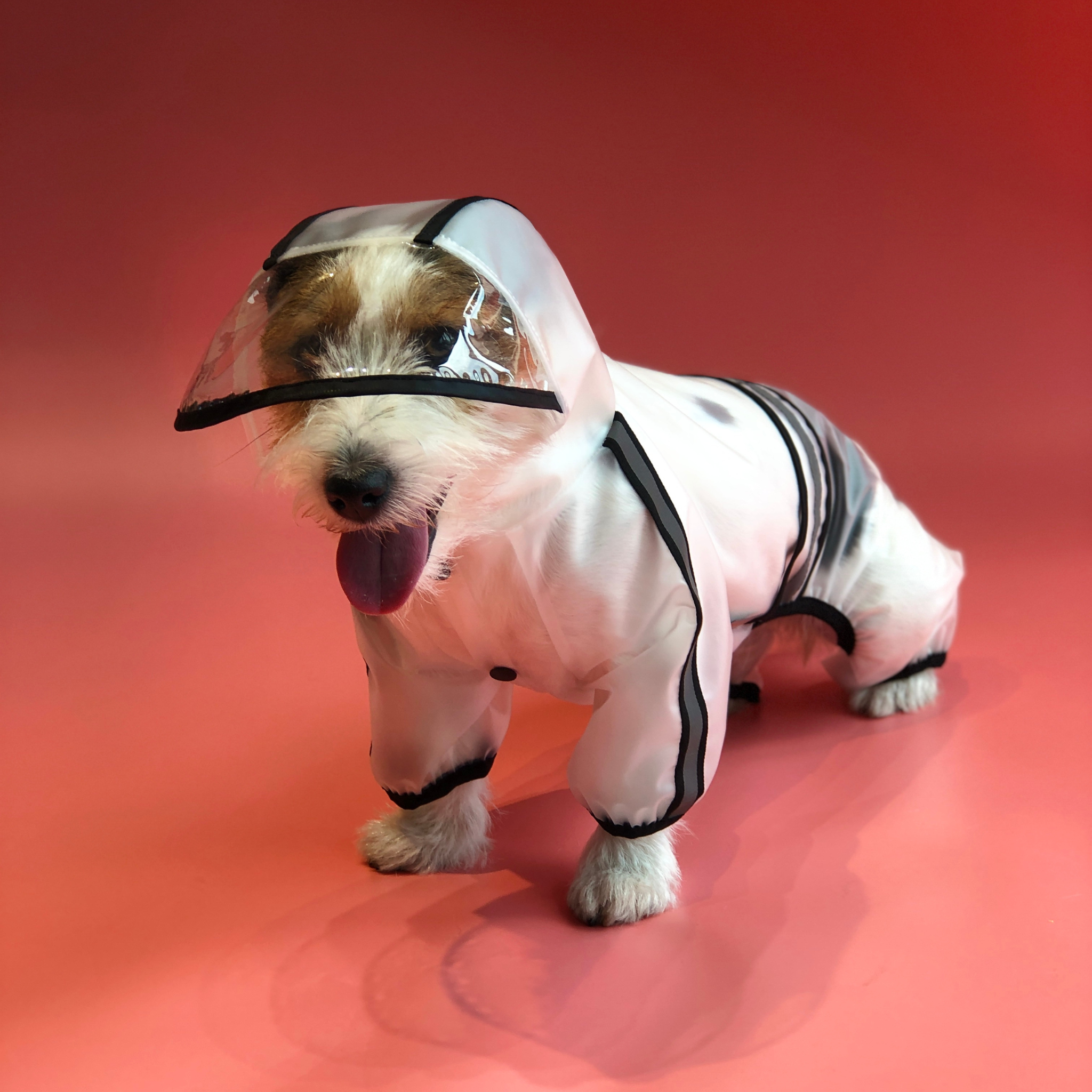 Barkbutler x Fofos Pet Four Leg Dog Raincoat - Black Lightweight & Waterproof - Rufftail