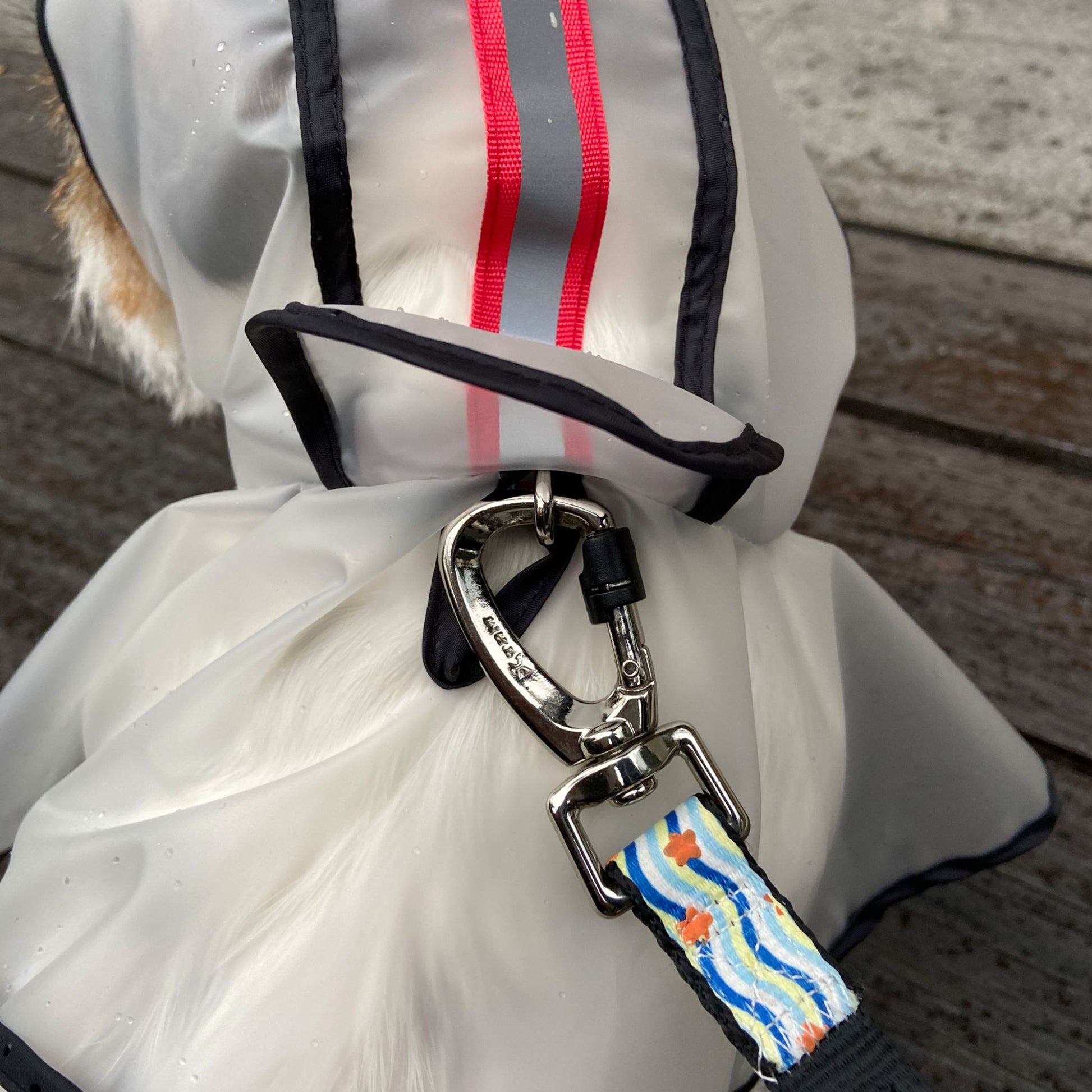 Barkbutler x Fofos Pet Dog Raincoat - Red Lightweight & Waterproof - Rufftail