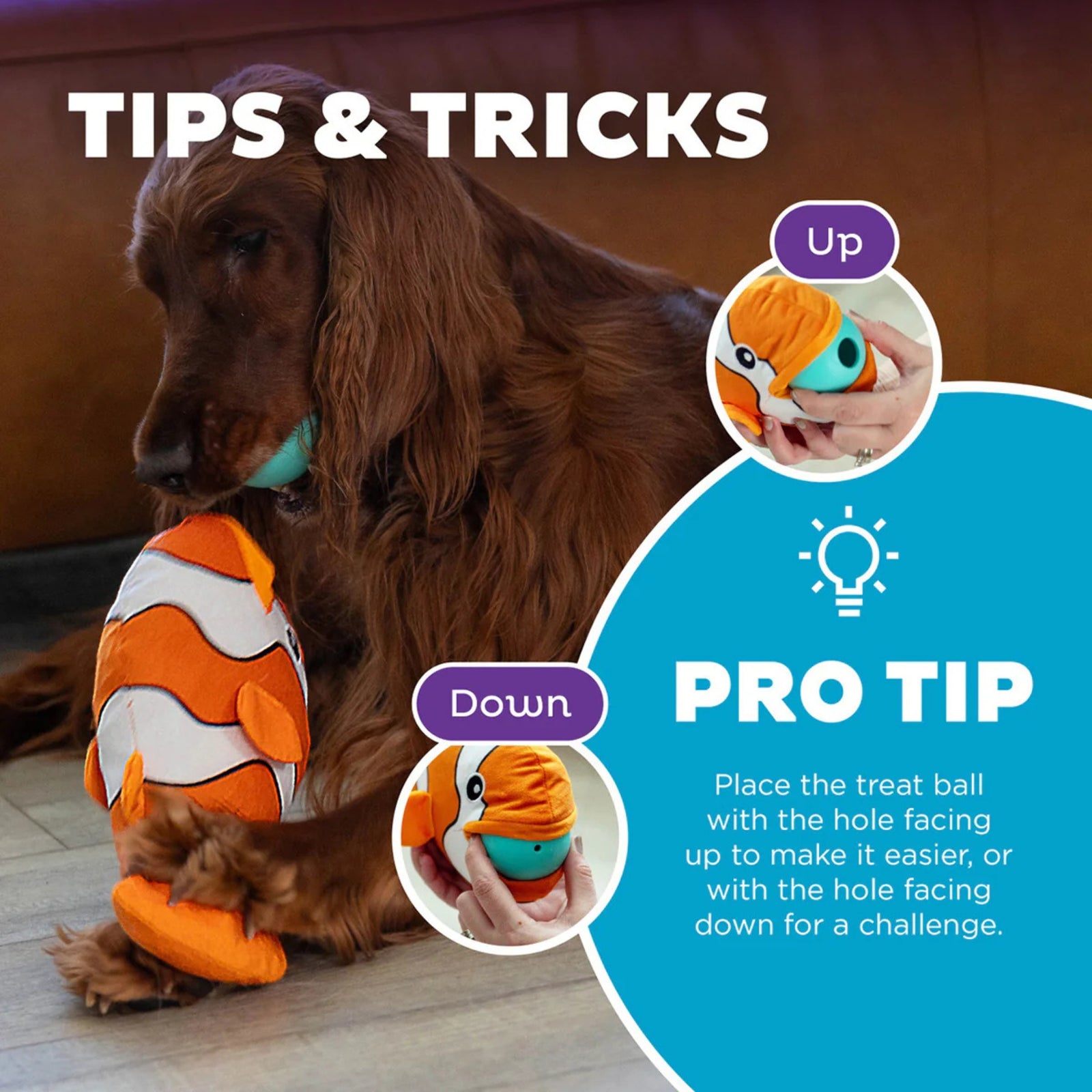 Outward Hound Big Mouth Clown Fish Orange- Hidden Treat Ball Inside - Rufftail