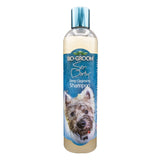 Bio-Groom So-Dirty Deep Cleansing Shampoo for Dogs- 355 ml - Rufftail Pune
