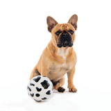 M-Pets PONGO - Interactive Ball Dog Toy - Rufftail