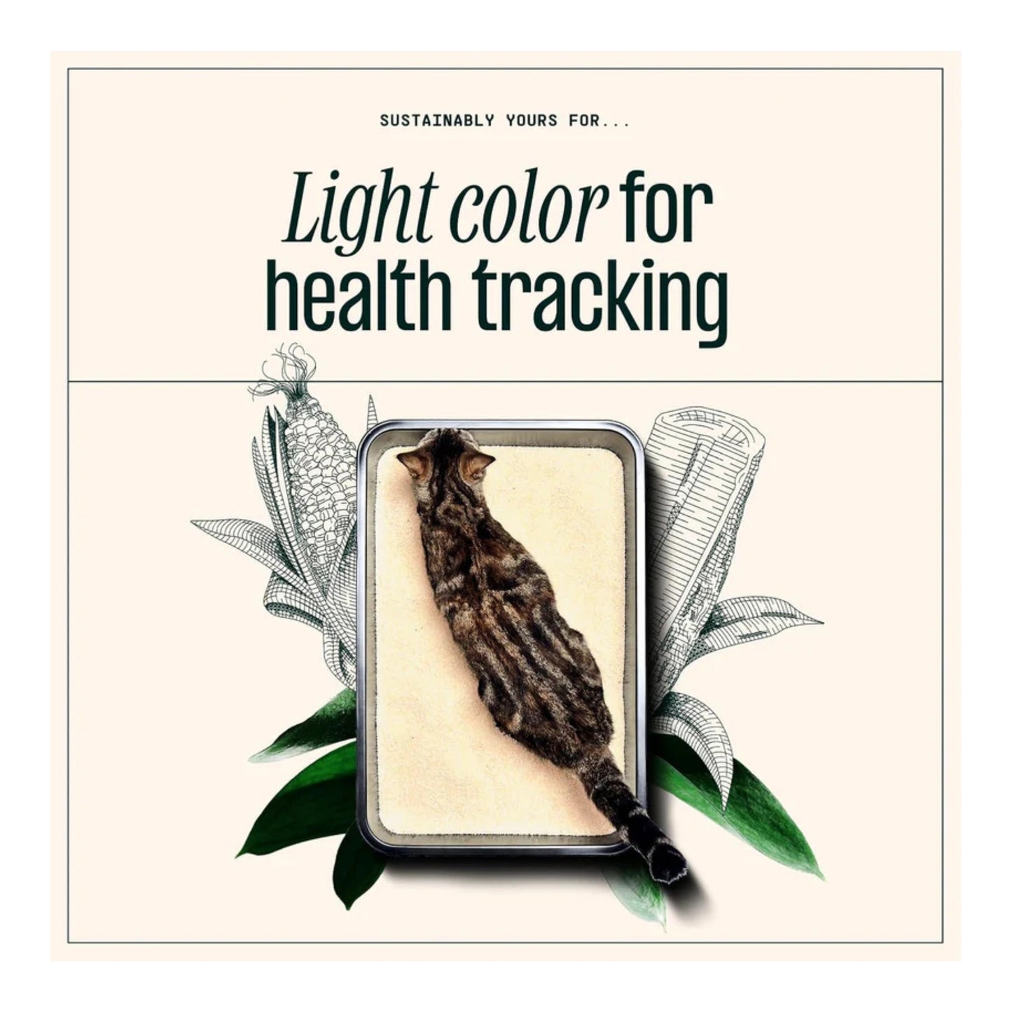 Sustainably Yours Large Grain Cat Litter - Rufftail