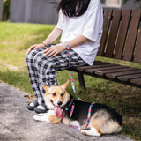M-Pets URBAN STYLE Jazz Stripes Leash