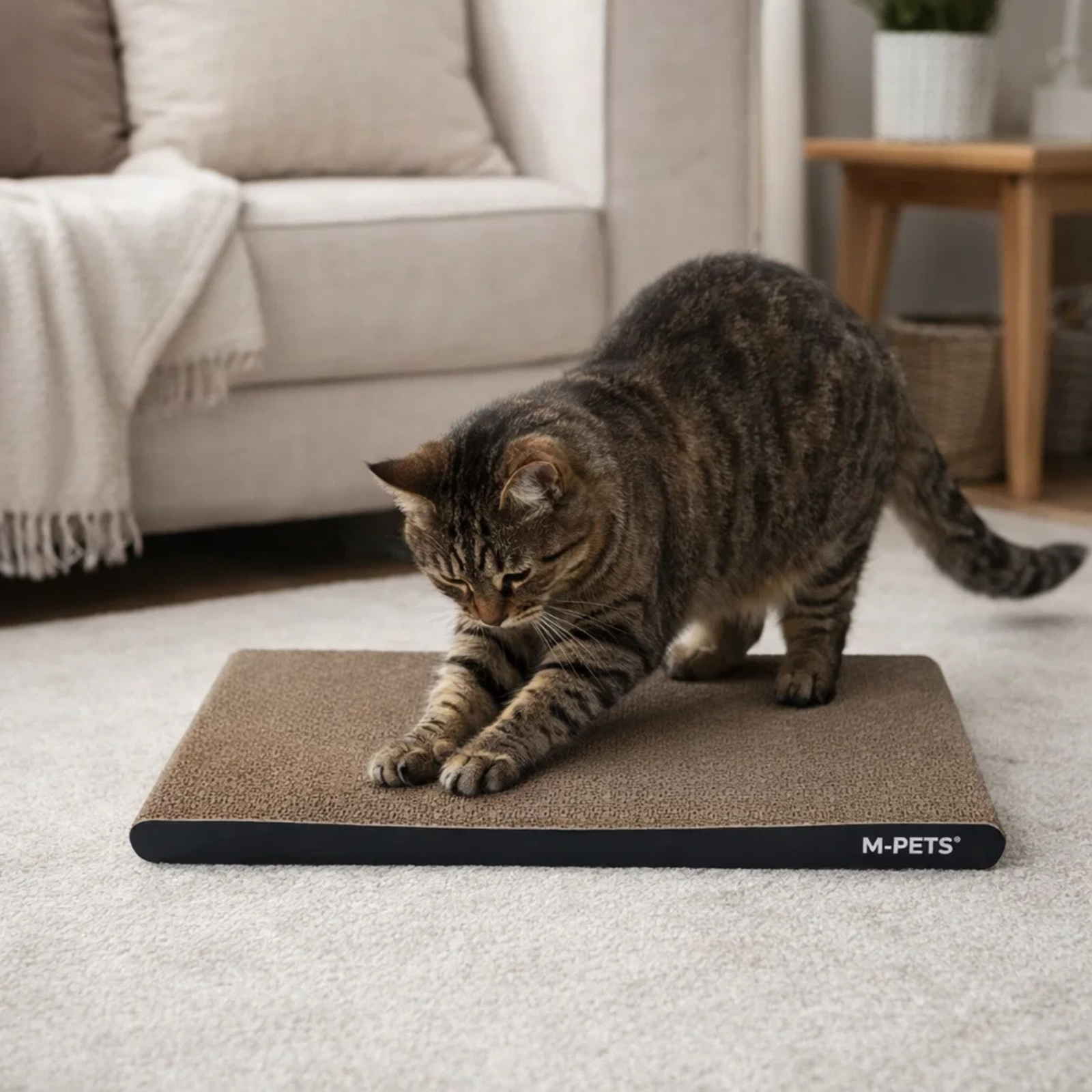 M-Pets My Scratchy Cat Cardboard scratchers - Rufftail