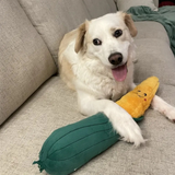 Zippy Paws Jigglerz Corn - Squeaky Plush Large Dog Toy