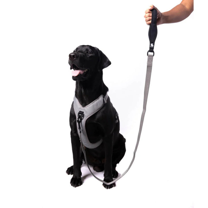 TRUELOVE Nylon Dog Leash: Durable, Reflective & Comfortable- Grey - Rufftail Pune