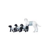 M-Pets Carbon Daipers- Male Dog (18 pcs) product image 9 - Rufftail Pune