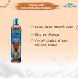 Bio-Groom Bronze Lustre Color Enhancing Dog Shampoo- 355 ml product image 6 - Rufftail Pune