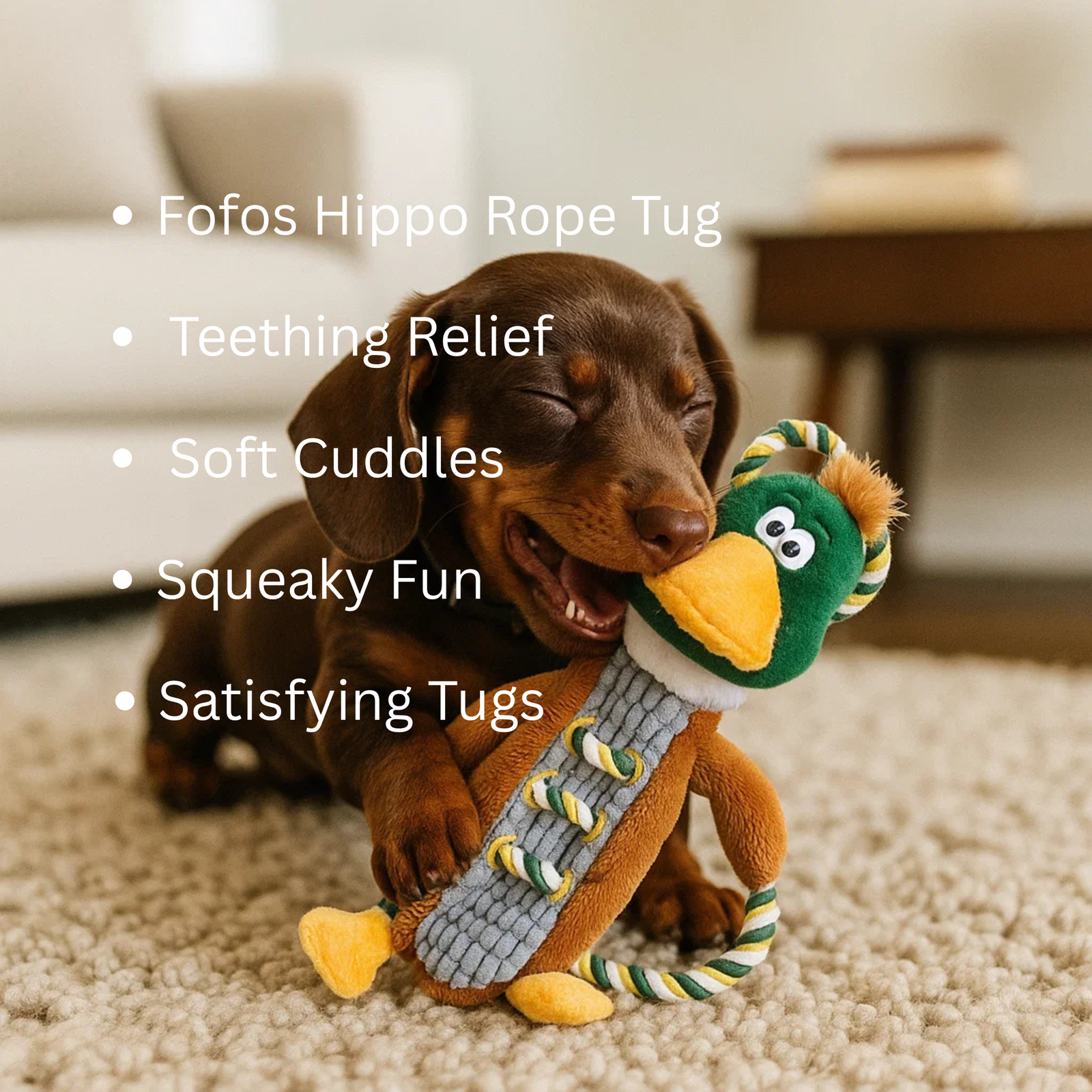 FOFOS Dog Toy Mallard Duck Rope Tug- Soft, Squeaky & Rope Toy product image 2 - Rufftail Pune