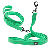 Truelove Classic Dog Leash - GRASS GREEN