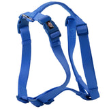 Trixie Premium H Harness for Dogs (Royal Blue)
