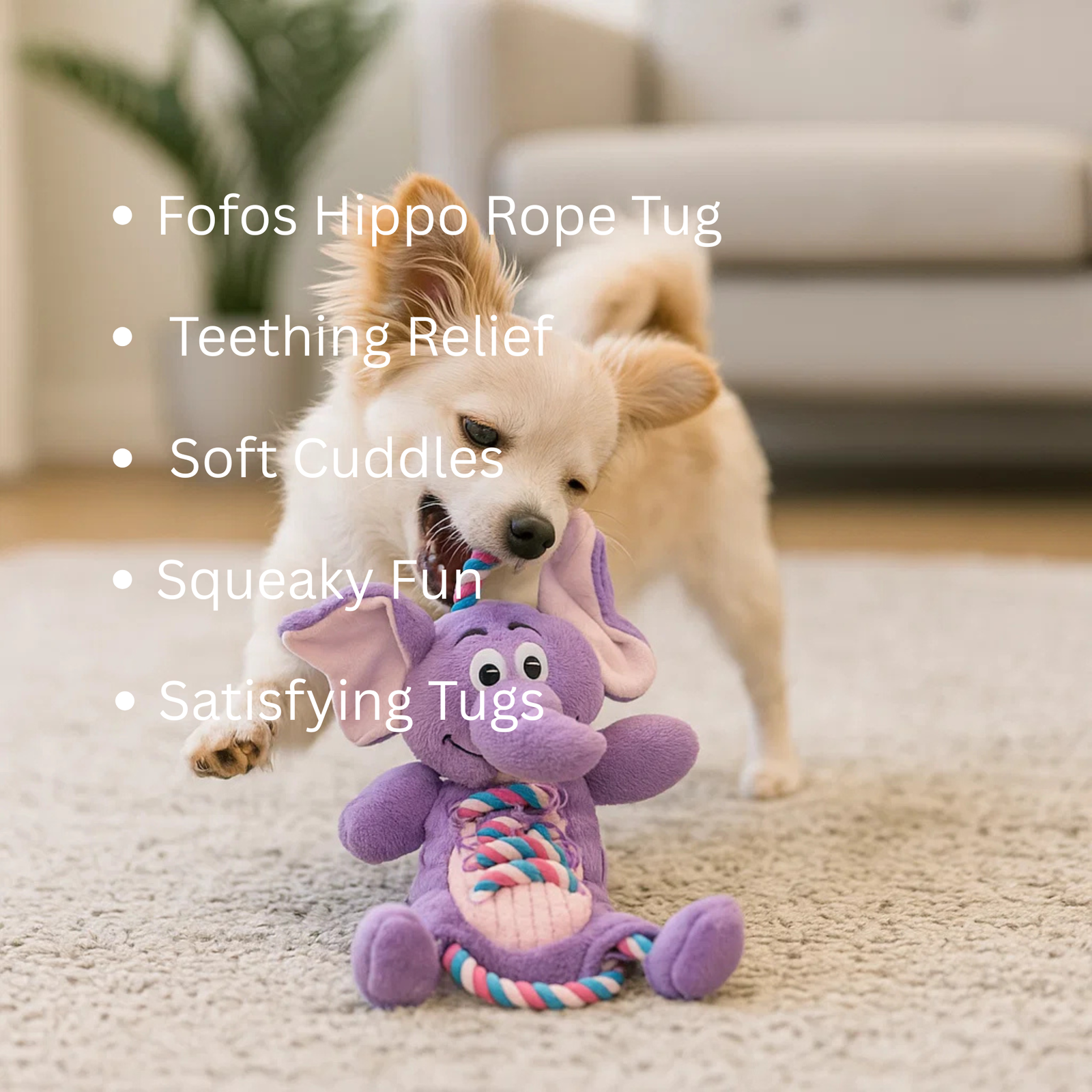 FOFOS Elephant Rope Tug Squeaky Dog Toy product image 3 - Rufftail Pune