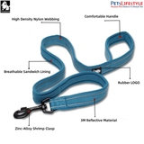 Truelove Classic Dog Leash - GRASS GREEN
