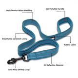 Truelove Classic Dog Leash - Blue