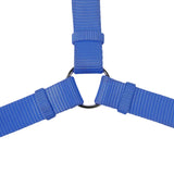 Trixie Premium H Harness for Dogs (Royal Blue)