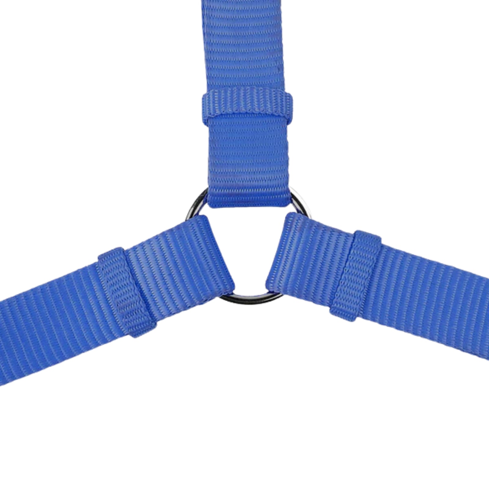 Trixie Premium H Harness for Dogs (Royal Blue)