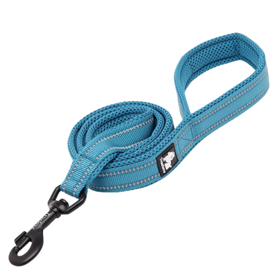 Truelove Classic Dog Leash - Blue