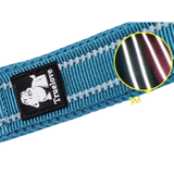 Truelove Classic Dog Leash - Blue
